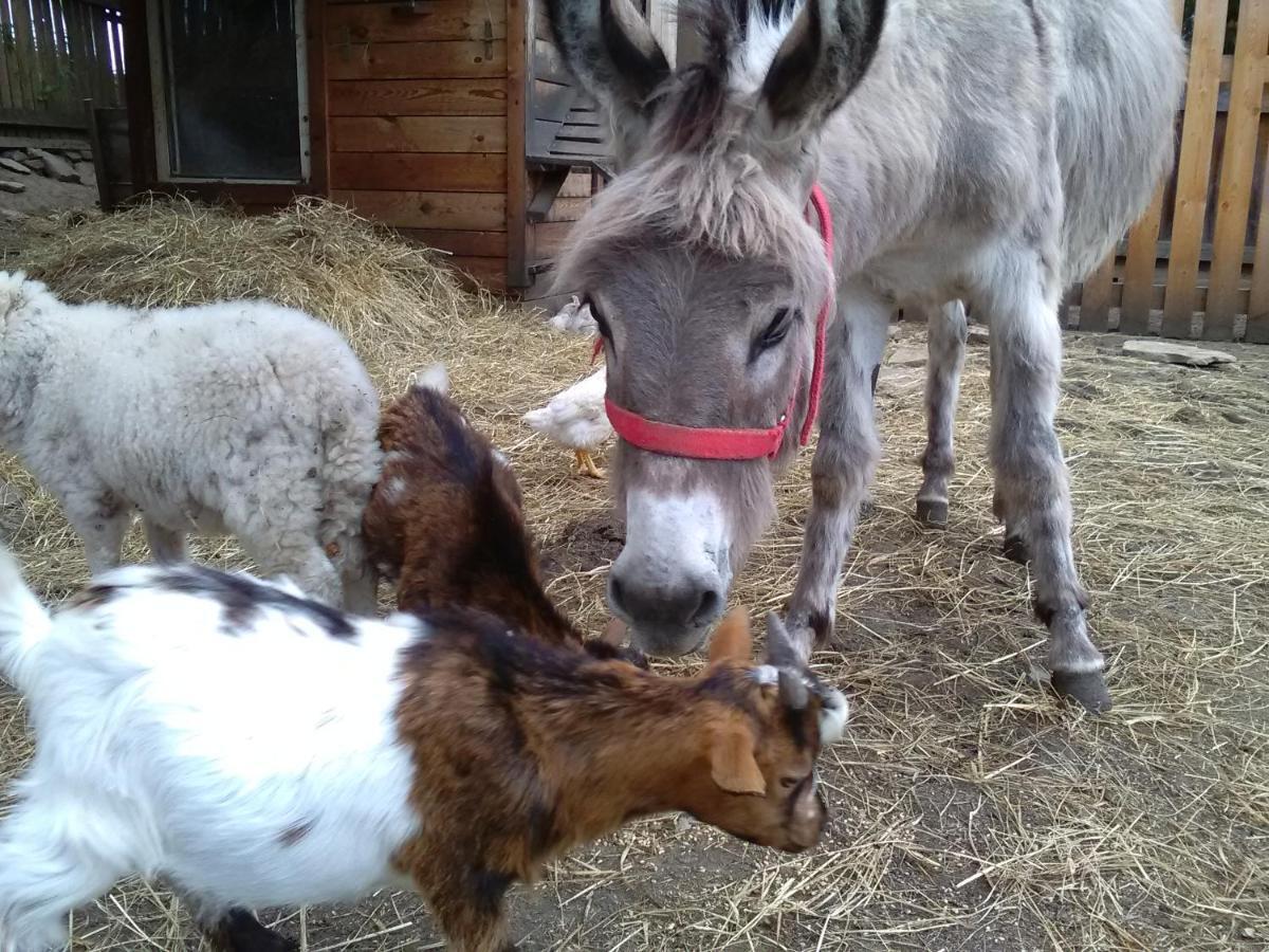 Domcek Miriam Country house Hrabusice